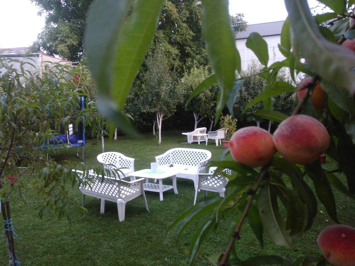 Elite Apartment Jasmina Bihać Buitenkant foto