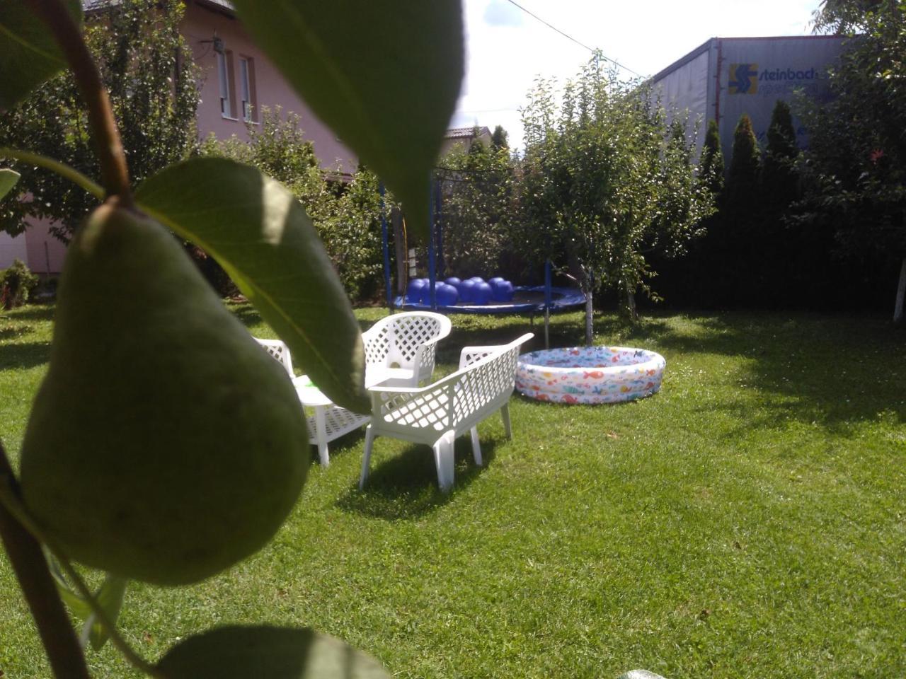 Elite Apartment Jasmina Bihać Buitenkant foto